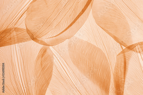 Nature pattern of dry petals, transparent leaves with natural texture as natural background or wallpaper for screen. Macro texture, skeleton flower petal. Monochrome aesthetic beauty of nature
