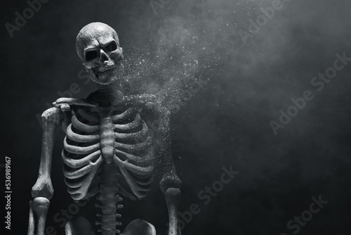 Human skeleton death on dark background