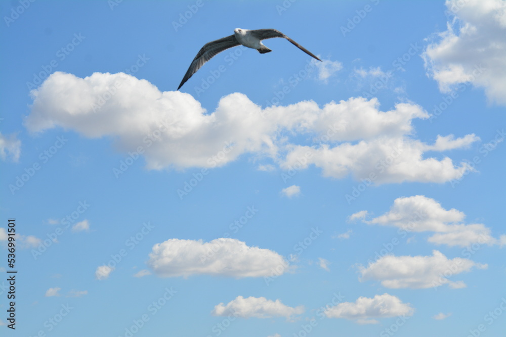 Istanbul, waterview, skyline, sky and clouds Istanbul, waterview, skyline, sky and clouds