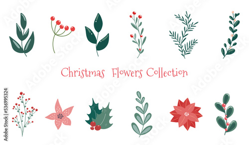 Winter christmas plants illustrations set. Christmas botanical design elements pack. Festive Xmas decor, plant branches, flora, foliage.