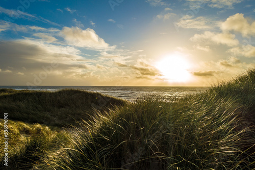 Blick durch die Dünen mit Strandhafer auf den Nordseestrand im Sonnenuntergang