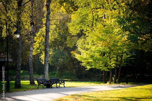 Foto There is a lantern and two benches for romantic dates in the park near the walking path