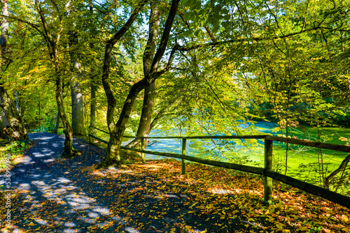 Sunny day in Autumnal forest, yellow orange trees and lake