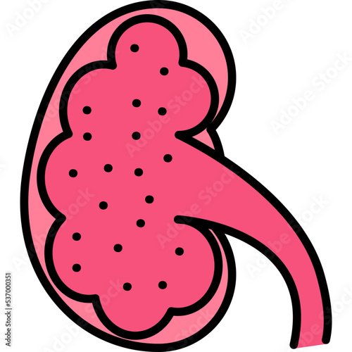 Kidney Icon