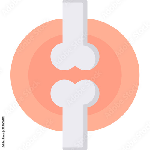 Joint Icon