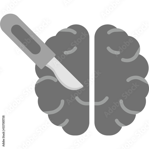 Brain Icon