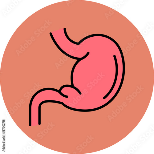 Stomach Icon
