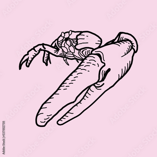Red crab isolated animal with pincers cartoon sketch icon.