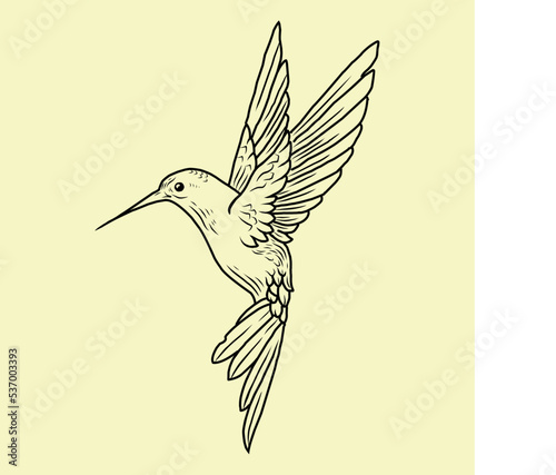 hummingbird in flight