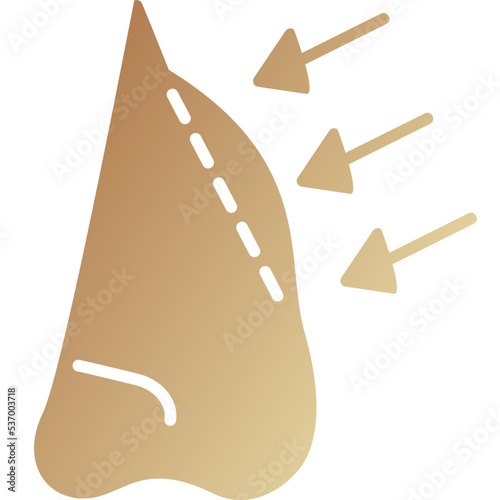 Rhinoplasty Icon