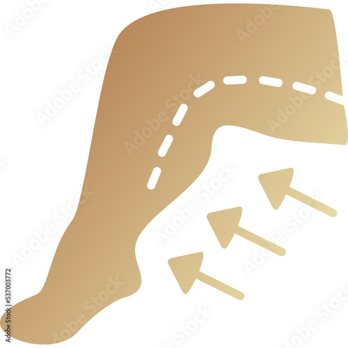 Liposuction Icon