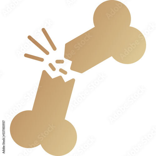 Fracture Icon