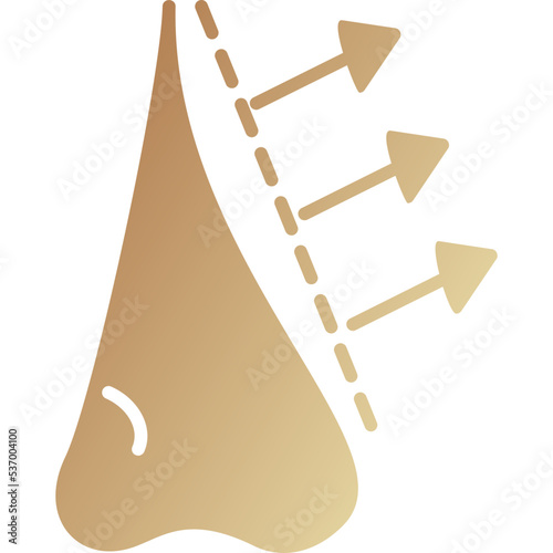 Nose Icon