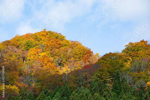 カラフルな秋の山と青空 