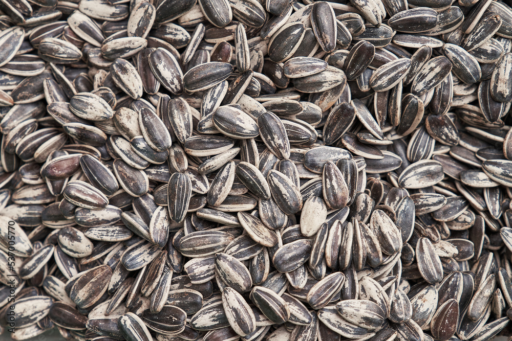 Beautiful sunflower seeds image Beautiful sunflower seeds image