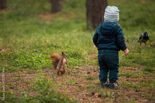 a little boy met a squirrel on a walk in the autumn park. The child is frightened and stands in suspense.