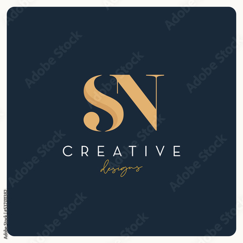 Monogram SN logo design, creative letter logo for business and company.