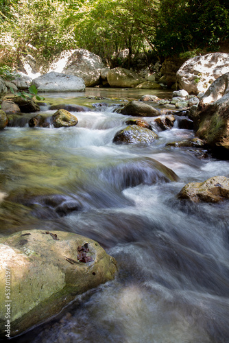 Fototapeta Naklejka Na Ścianę i Meble -  Tusciano river forest scenery in cilento