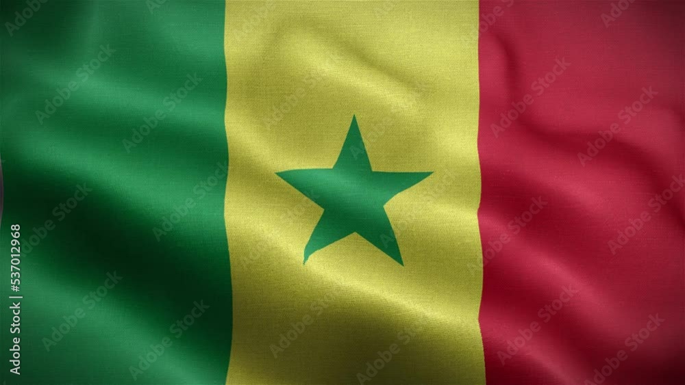 Flag of Senegal fluttering in the wind.
Flag of Senegal fluttering in the wind.