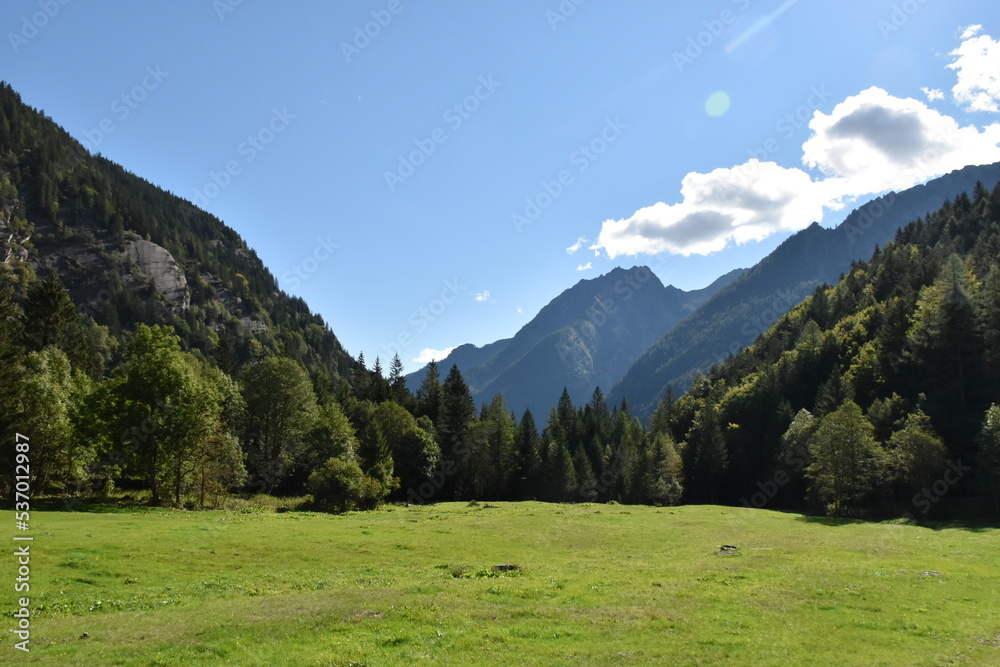 prato in valle alpiina