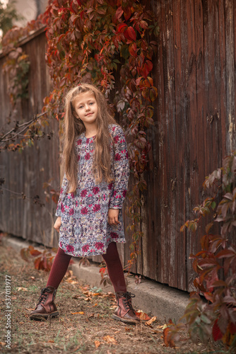 girl in a dress behind the brown old fence