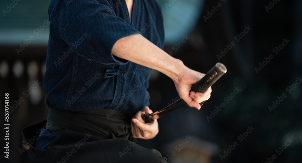 日本刀を構える人物(Demonstration of Japanese sword) 日本刀を構える人物(Demonstration of Japanese sword)