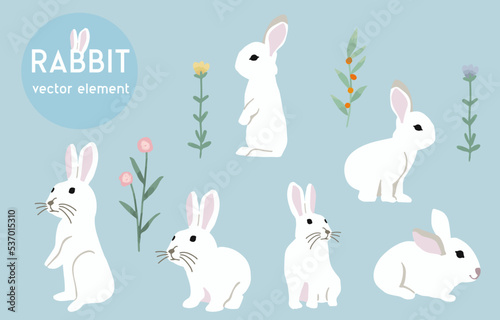 cute white rabbit character object with flower