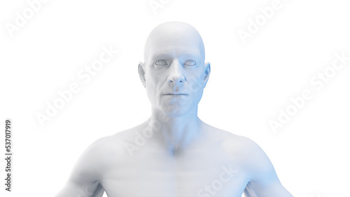 3d rendered medical illustration of a males head