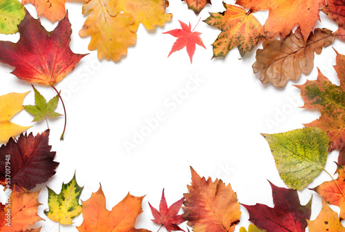 Autumn leaves frame empty copy space white background.Thanksgiving day.