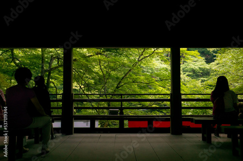 京都 貴船神社の休憩所にて、新緑を鑑賞する人々