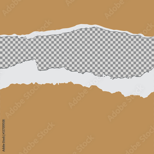 Tore off a piece of colored paper. Vector paper design template. Vector