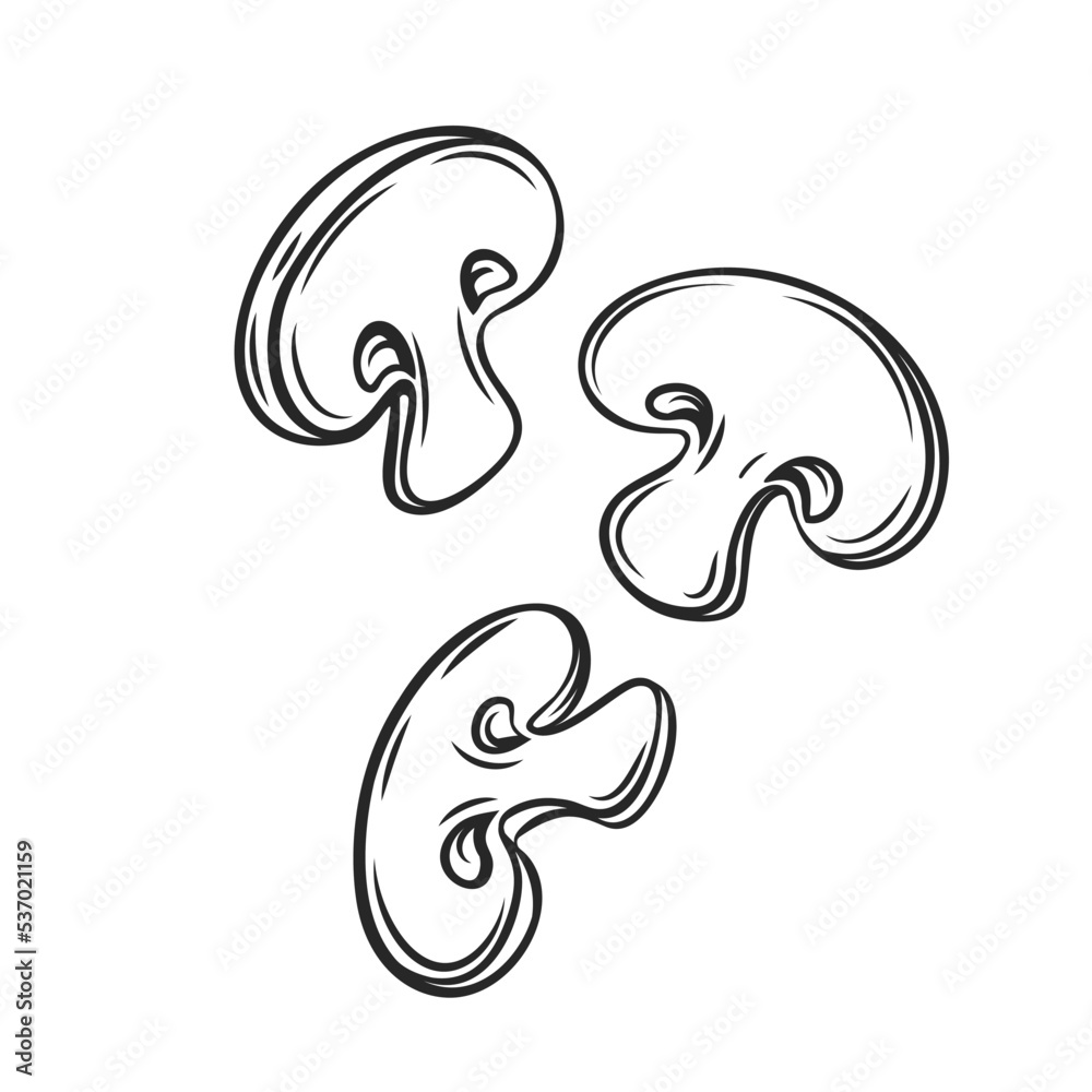 Obraz premium Outline sliced falling champignons, flying cut fresh mushrooms vector ilustration.