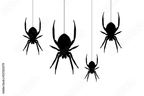 Spider web. Hand drawn cobweb. Spooky Halloween vector illustration