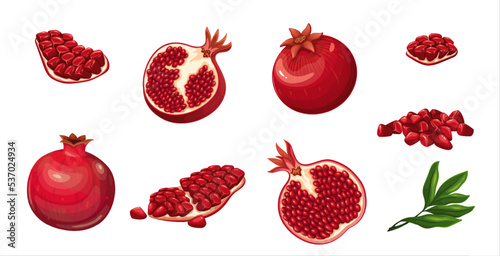 Pomegranate set vector illustration. Cartoon isolated summer red fruit in peel, sweet food and antioxidant dessert and natural botanical leaf, whole and half, quarter slice with ruby juicy seeds, photo