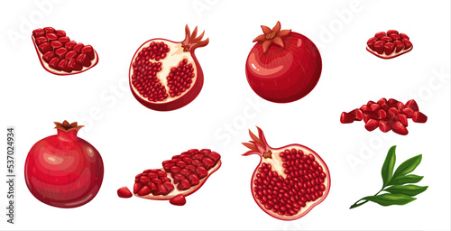 Pomegranate set vector illustration. Cartoon isolated summer red fruit in peel, sweet food and antioxidant dessert and natural botanical leaf, whole and half, quarter slice with ruby juicy seeds,