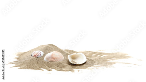 Fototapeta Naklejka Na Ścianę i Meble -  Sea shells in sand pile isolated on white background