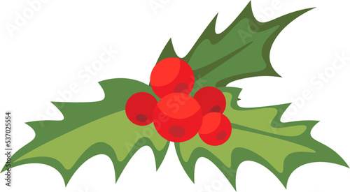 Mistletoe with drupes flat icon Christmas decoration