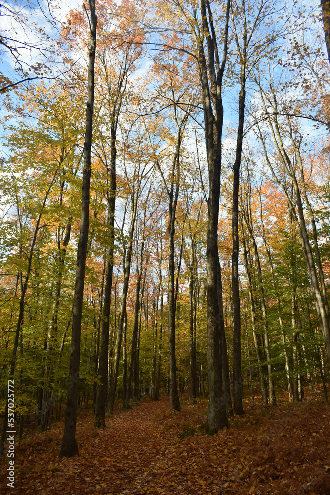 Naklejka premium Richmond 10 Octobre 2022