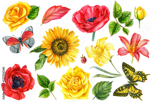 Set summer flowers  butterfly and leaves  watercolor floral illustration. 