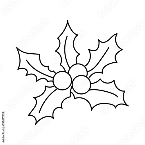Holly. Christmas plant. Coloring book. Christmas. New Year. Black and white vector image.