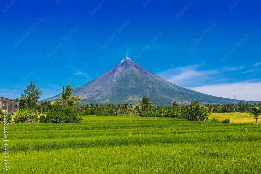 A scenic rice farm with the perfect view of Mayon Volcano in the town of Santo Domingo, Albay Province.
