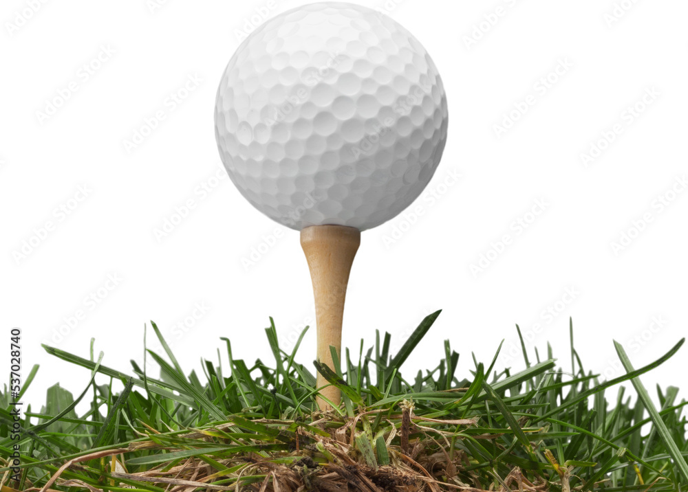 Golf Ball isolated on white background. Sport and Recreation Concept Golf Ball isolated on white background. Sport and Recreation Concept