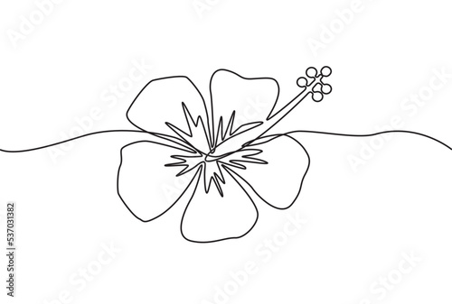 Fleurs-Hibiscus-ligne continue