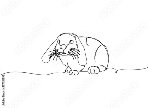 Domestic rabbit, Mini Lop, bunny one line art. Continuous line drawing of pet, mammal, breed, zodiac, china, oriental, domestic, easter, bunny, animal, year new, 2023, hare.