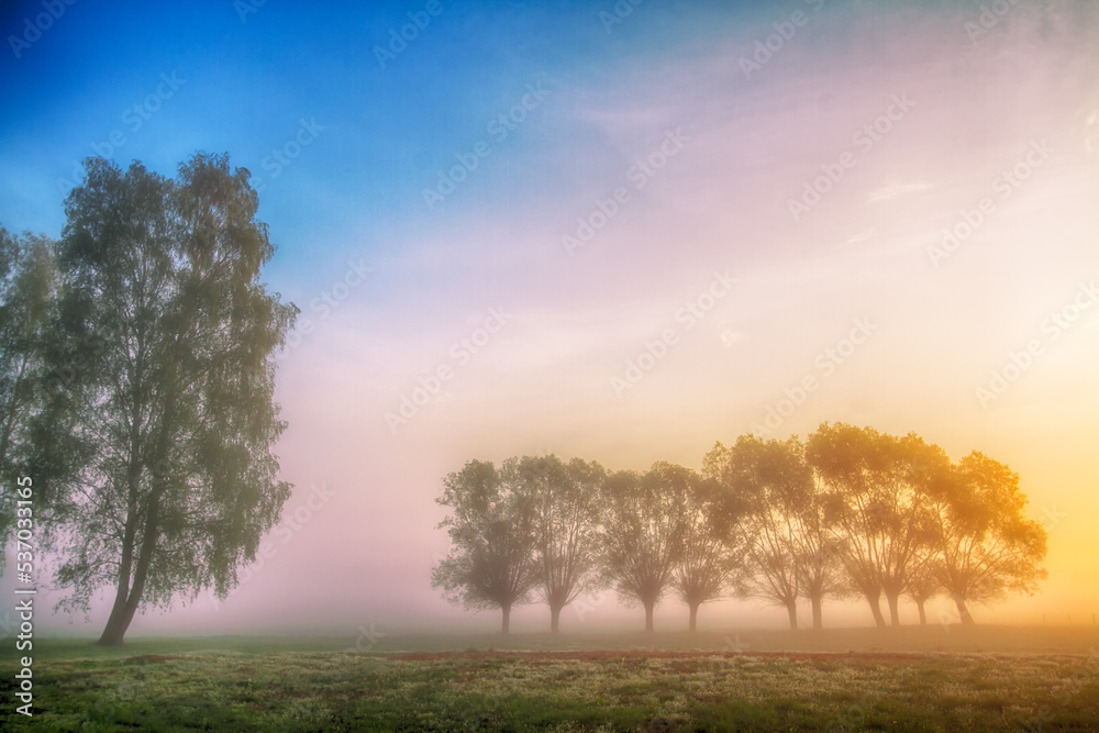 Landscape sunset in Narew river valley, Poland Europe, foggy misty meadows with trees, spring time