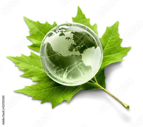 Environment concept, glass globe and green leaf