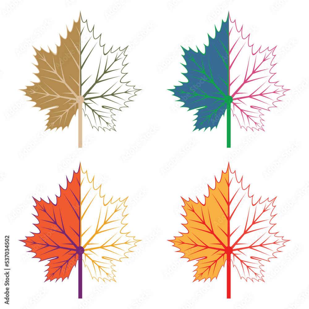 Maple leaf logo Template vector icon illustration design