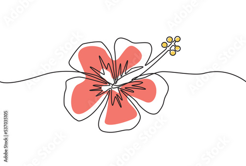 Fleurs-Hibiscus couleurs-ligne continue
