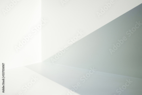 Light and shadow in the backdrop of an open white room.