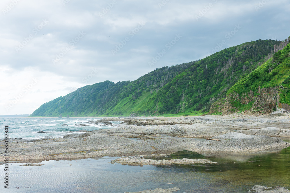 coastal landscape, panorama with beautiful columnar basalt cliff on the wooded coast of Kunashir island